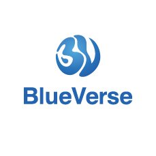 BlueVerse